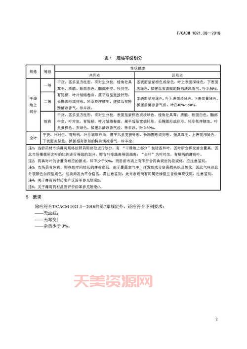 想知道薄荷成分是什么？这篇文章一次性讲清楚！