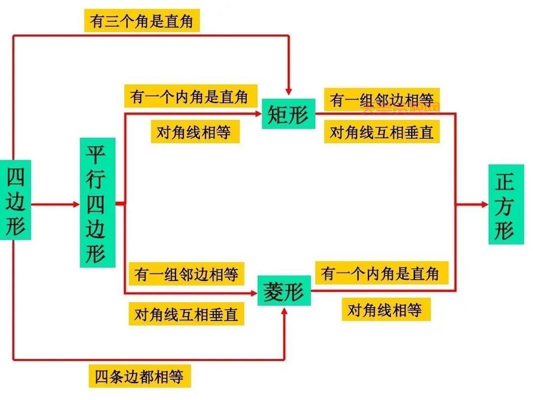 平行四边形有几条高？小学数学老师教你快速判断！