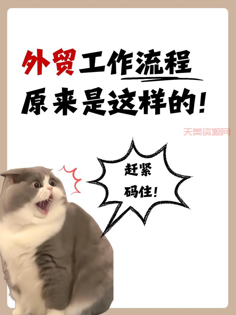 业务员做什么工作？新手业务员快速入门指南！
