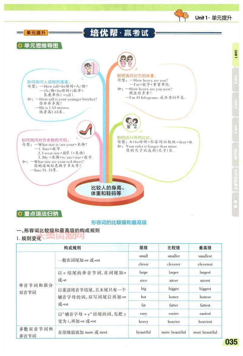 想知道tall什么意思？这里有最详细的解析！
