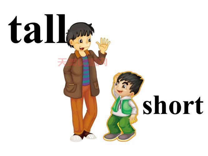 想知道tall什么意思？这里有最详细的解析！