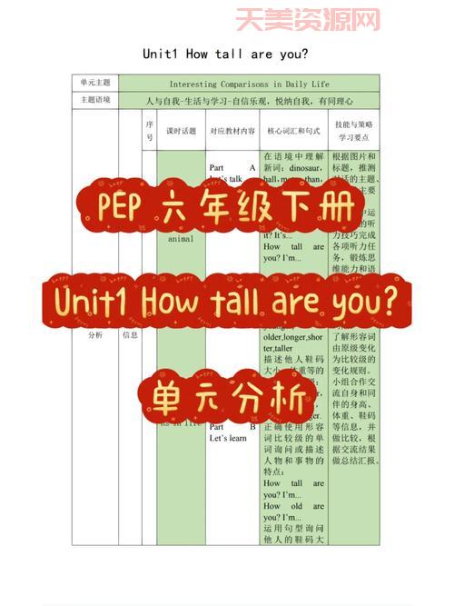 想知道tall什么意思？这里有最详细的解析！