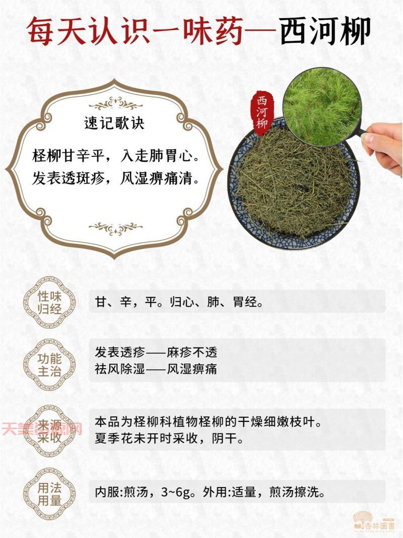 血柳真的有用吗？听听专家怎么说！