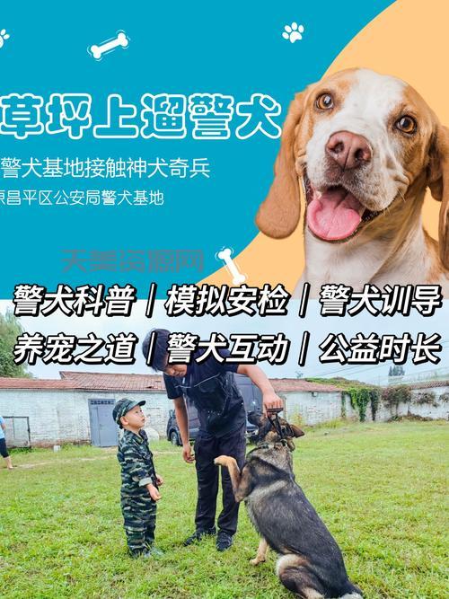想知道警犬训练的秘密吗？这篇文章给你答案！