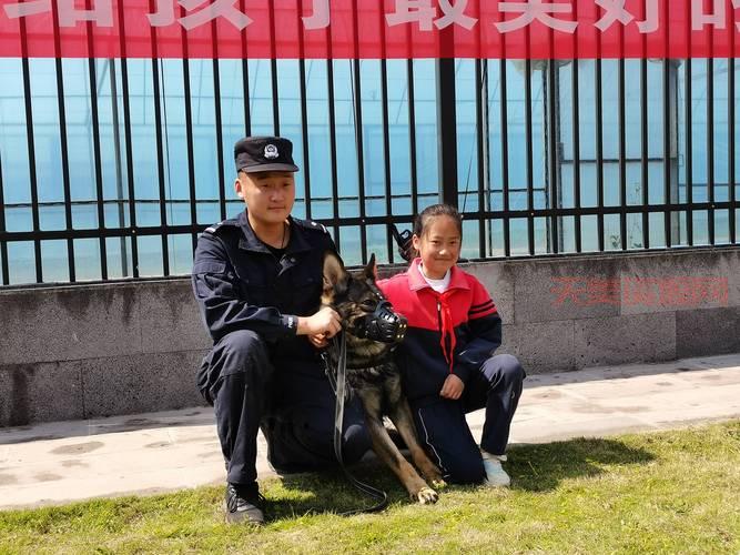 想知道警犬训练的秘密吗？这篇文章给你答案！