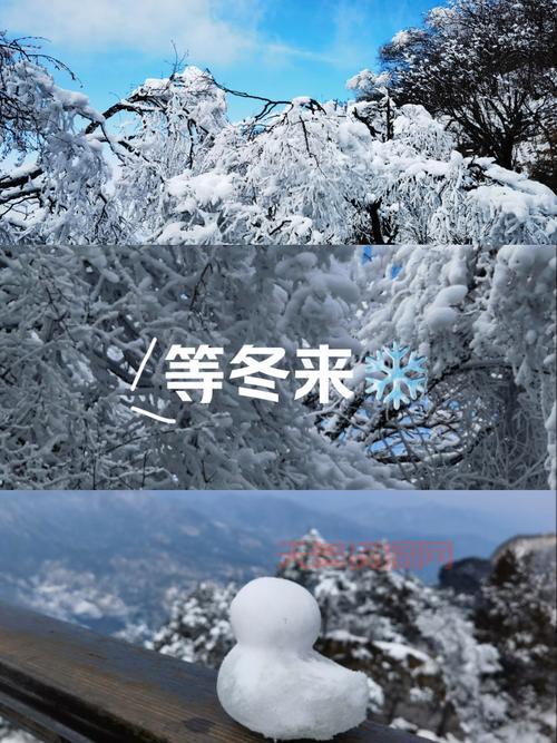 雾凇什么时候出现？这个季节最容易看到！