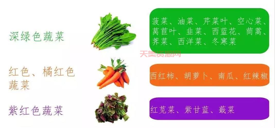 知更鸟吃什么食物？这份喂养指南请收好！