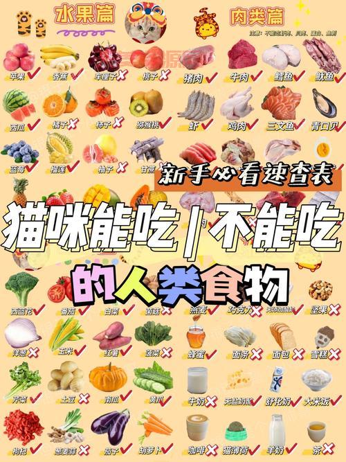 知更鸟吃什么食物？这份喂养指南请收好！
