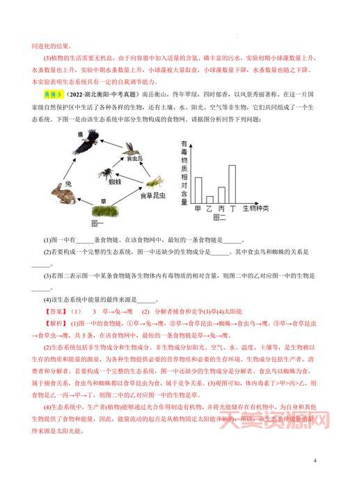 什么是食物链？原来我们吃的饭菜都和它有关！