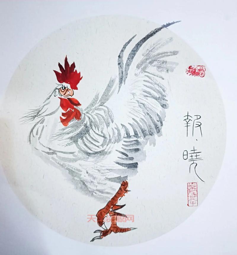 公鸡为什么会报晓？生物学家来给你揭秘啦！
