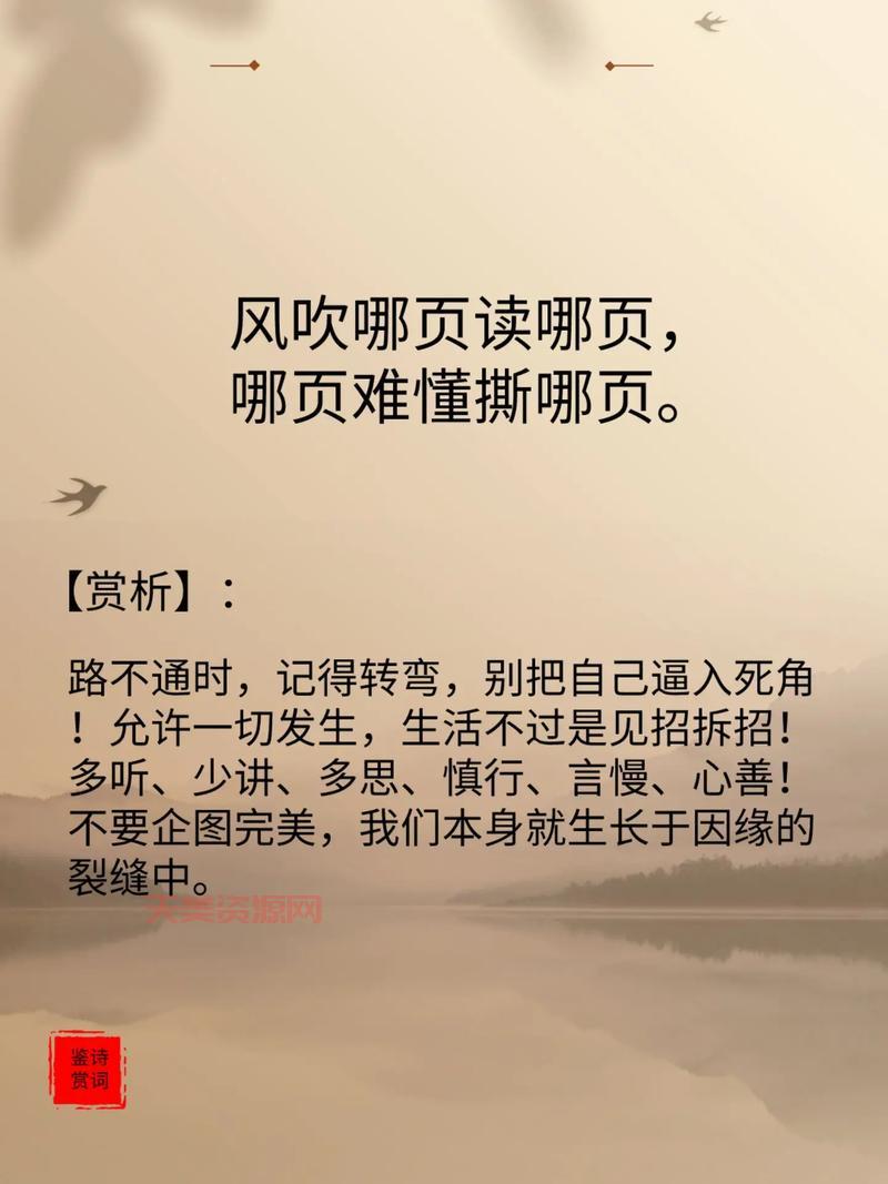 觅风是什么？这篇文章告诉你答案，看完就懂了！