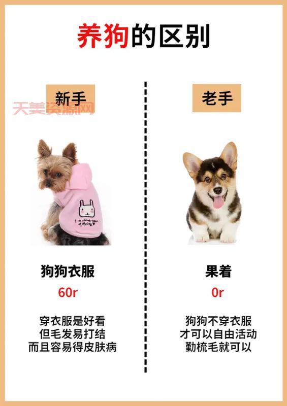 散养模式有哪些？不同模式优缺点对比！