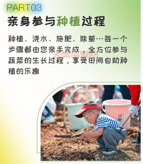 摊丁入亩具体是怎么操作的？3分钟了解明白!