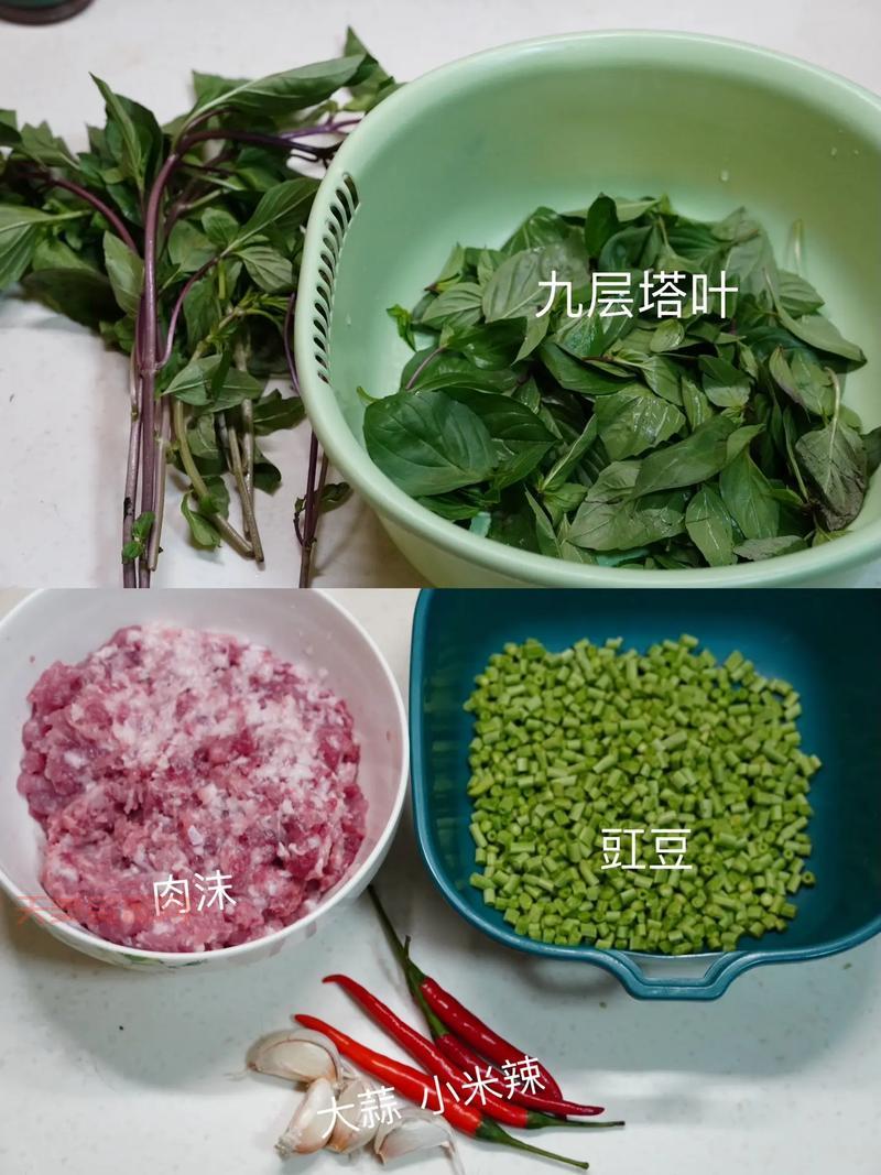 九层塔怎么做好吃？这几种家常做法简单又美味！