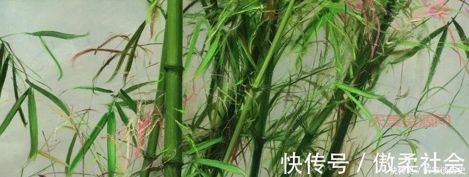 竹子主要产自哪些地方？这篇文章告诉你答案！