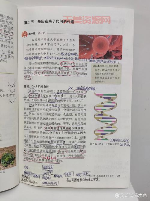 等位基因是啥意思？初中生物知识点详解！