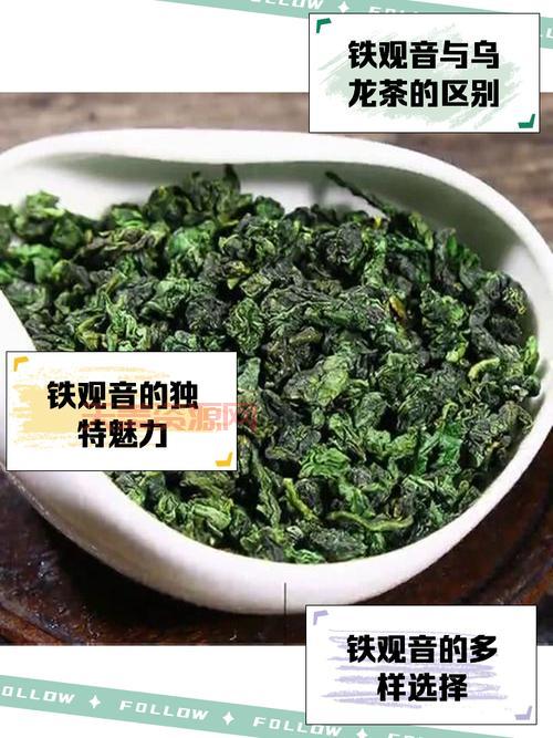 乌龙茶和铁观音一样吗？3分钟带你了解它们的差别！