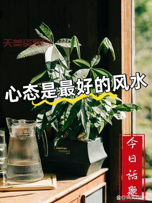 有志不在年高的下一句是啥？这句话原来是这个意思！