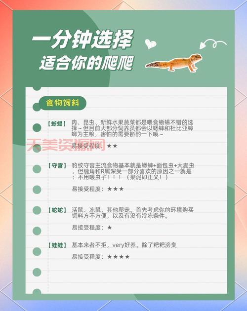 爬行动物怎么养？新手饲养爬宠的注意事项！