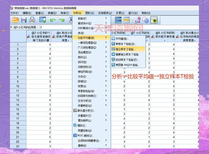 spss170数据分析教程，零基础也能轻松学会！
