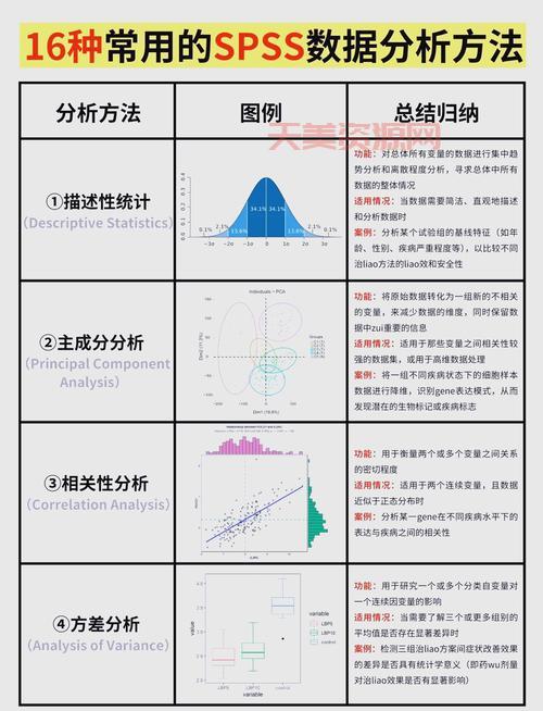 spss170数据分析教程，零基础也能轻松学会！