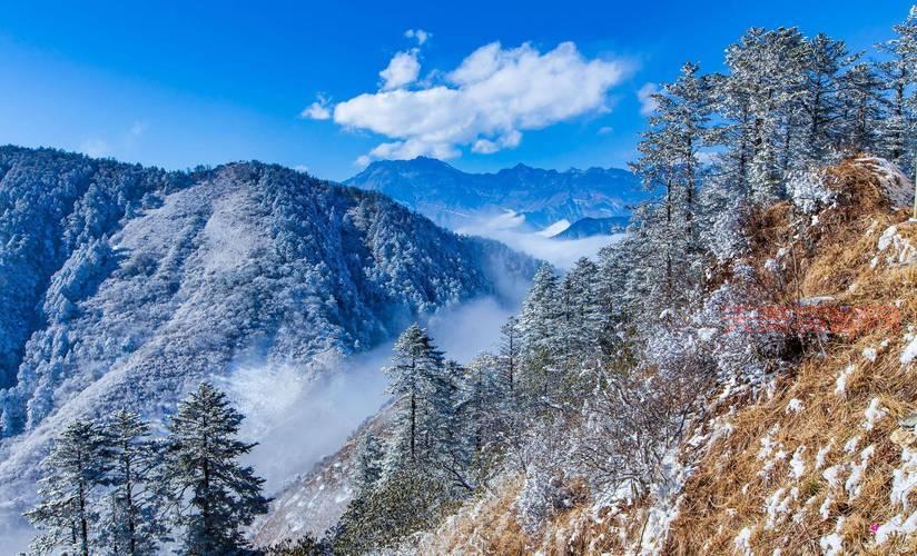 想看窗含西岭千秋雪？这份旅游攻略快收藏好！