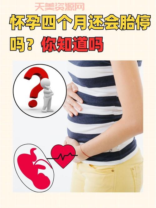 四个月念什么？准妈妈一定要知道的孕期知识！