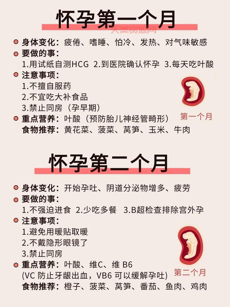 四个月念什么？准妈妈一定要知道的孕期知识！