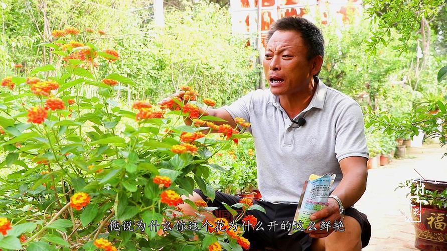 如意结局怎么实现？这几个方法技巧要知道！