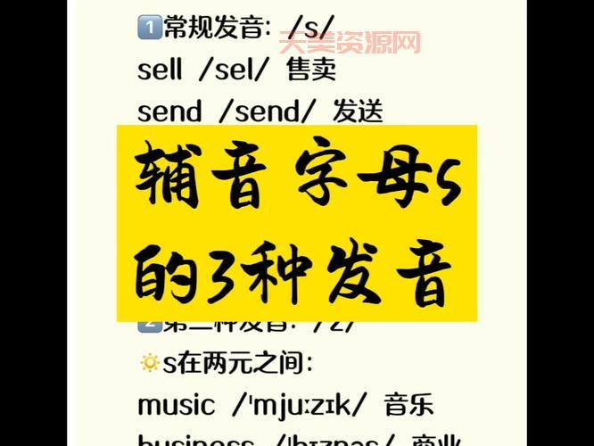 s是什么意思？新手小白必看s入门详解！