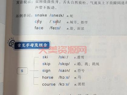 s是什么意思？新手小白必看s入门详解！