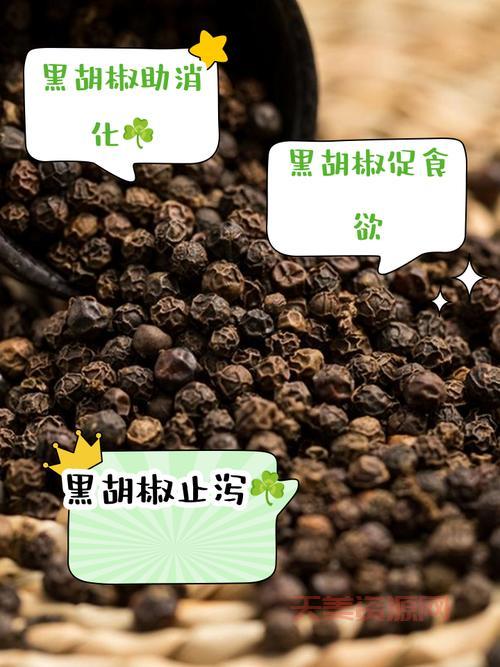 黑胡椒是啥做的？看完这篇你就知道啦！
