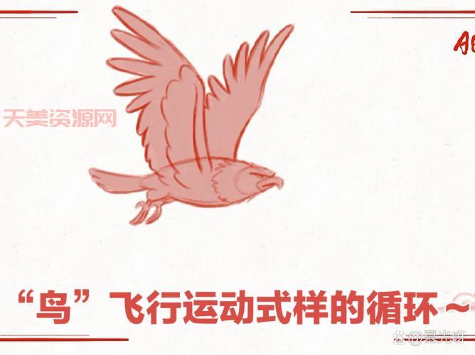 小鸟飞行原理是什么？简单几步让你明白！