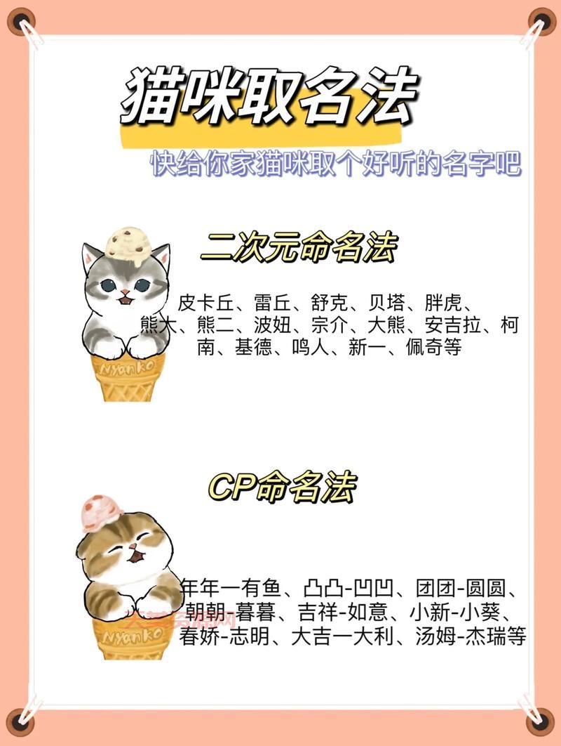 猫咪最新地域网名3336入口在哪？老司机带你上车！