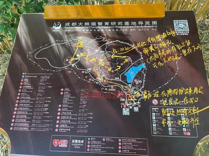 成都到熊猫基地怎么走？这份交通攻略请收好！