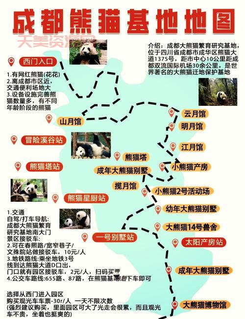 成都到熊猫基地怎么走？这份交通攻略请收好！