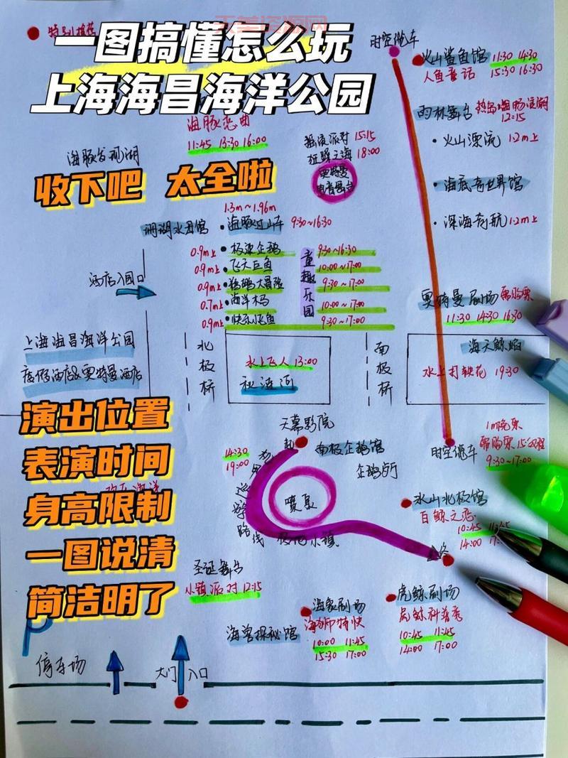 上海海洋馆怎么去？交通路线一篇全搞定！