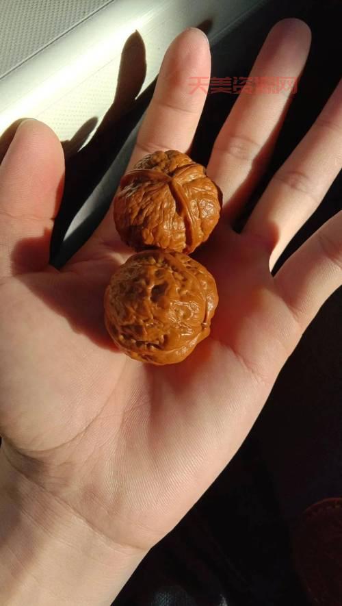 铁核桃哪里产的最好？内行人告诉你答案！