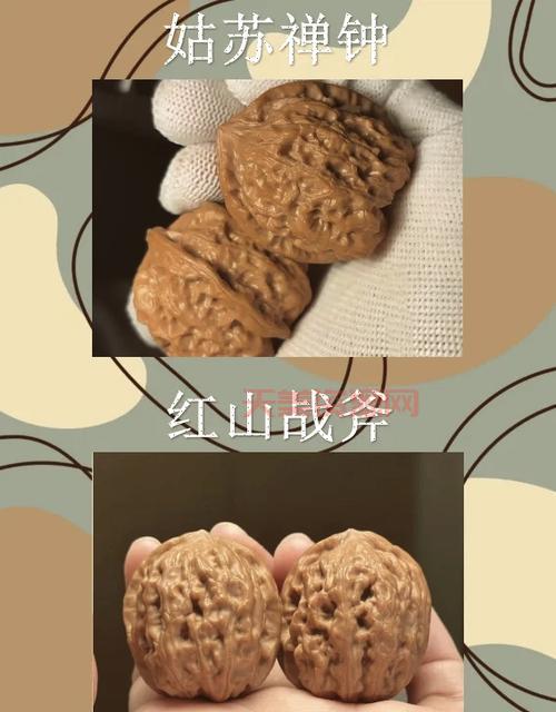 铁核桃哪里产的最好？内行人告诉你答案！