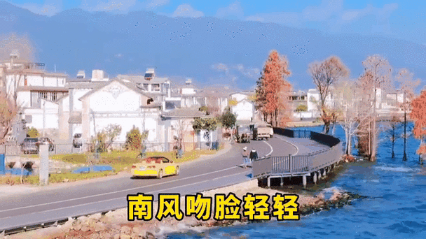 今宵多珍重有哪些好听的翻唱？不同版本带来不一样的感觉。