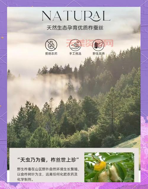 搞懂桑蚕丝与柞蚕丝的区别，买真丝再也不怕被坑！