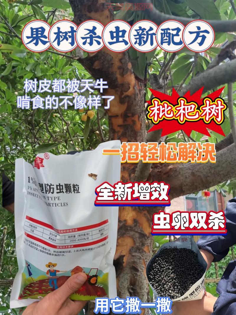 碑虫防治用什么方法好？对比几种常见方案优缺点！