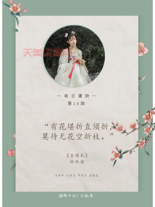 有花堪折直须折莫待无花空折枝，读懂它让你活得更通透！