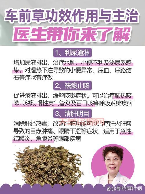 杜拉克草的功效与作用，真实案例分享，看完就明白了！