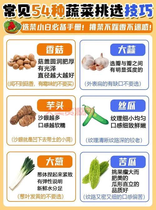 蔬菜种类选购技巧：如何挑选新鲜优质的蔬菜？