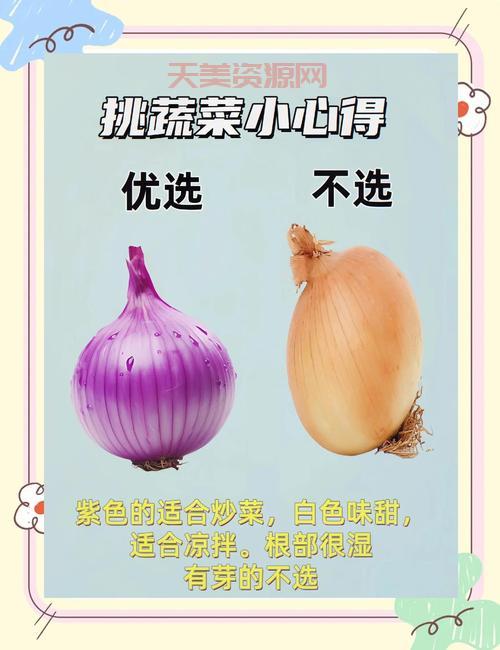 蔬菜种类选购技巧：如何挑选新鲜优质的蔬菜？