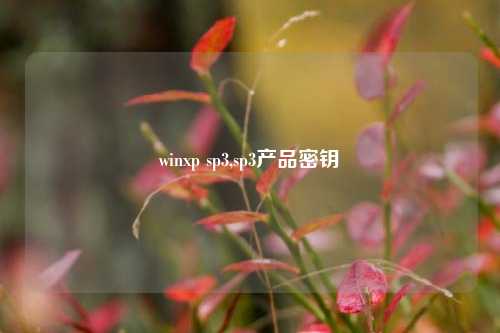 winxp sp3,sp3产品密钥