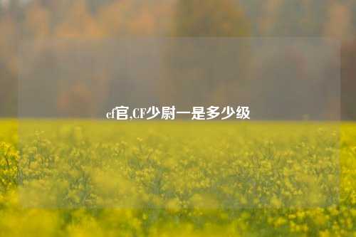 cf官,CF少尉一是多少级