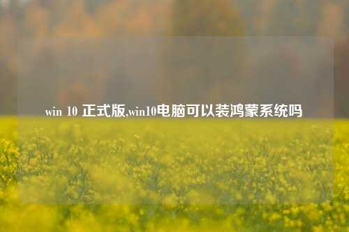 win 10 正式版,win10电脑可以装鸿蒙系统吗