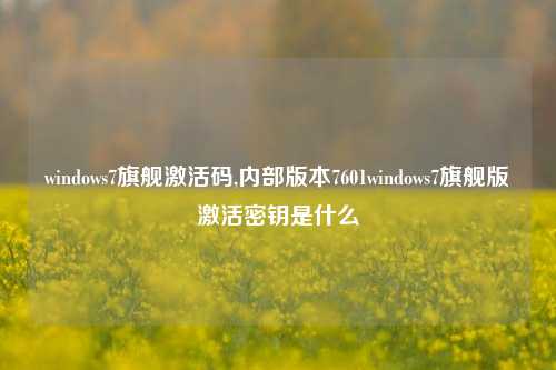 windows7旗舰激活码,内部版本7601windows7旗舰版激活密钥是什么